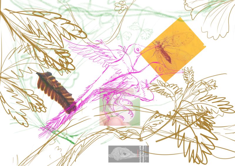 Oculudentavis 琥珀复原 眼齿鸟属的恐龙 设计稿草图 - 医学插画师-动画师-阿杜的原创生物医学可视化社团作品